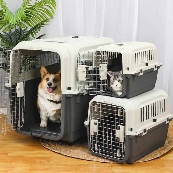 Pet relocation