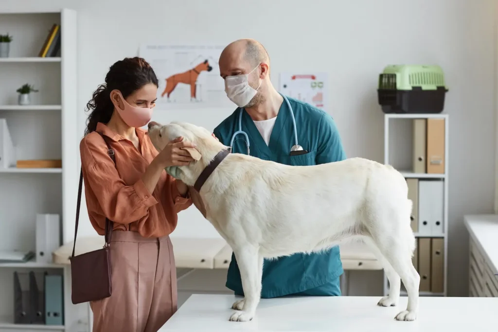 Pet Quarantine & Boarding